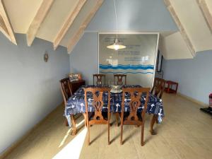 De Blauwvoet - Meerkat (Sunset Beach)