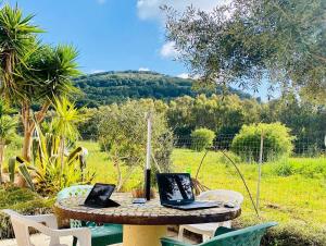 Casa Montjuïc Mare & Passione img19