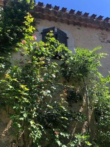 Maisons de vacances jolie maison de caractere proche de Castres : photos des chambres