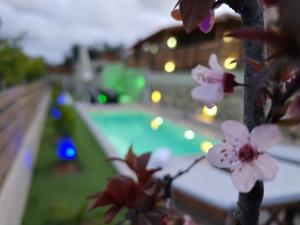 Elia Paradise Villa with private Pool