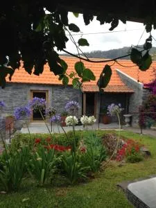 Casa dos Gatos - Ribeira do Raposo