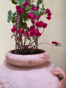 Villa Rina img9