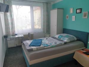 Standard Single Room room in Pension Beránek