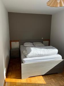 Appartements Appartement centre ville Luz Saint Sauveur T4 pour 10 personnes : photos des chambres