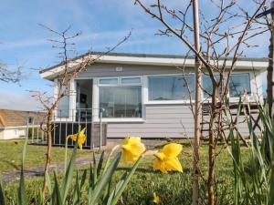 Wagtails - 4hvězdičkové hotely ve městě Dartmouth