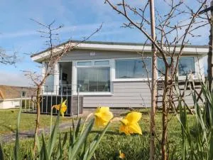 Wagtails - Hemborough Post