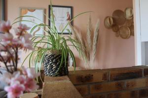 Appartements Cocon face a la mer : photos des chambres