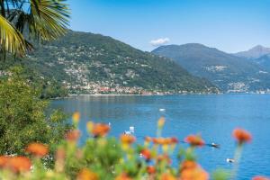 Appartement 1 Chambre avec Terrasse (4-5 Adultes) - Vue sur Lac