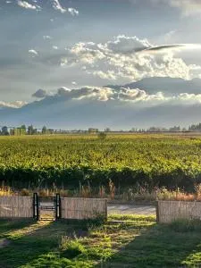 Casa Vino Andino - Capacho