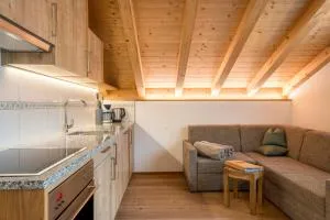 Feldererhof Apt Dolomitenblick - 卡西圣马达莱娜