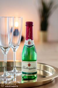 PINEAPPLE APARTMENTS - Zwinger IV - 65qm - 1x free parking