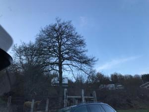 Terrasse de Malmedy 348