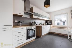 PINEAPPLE APARTMENTS - Zwinger VI - 98qm - 1x free parking