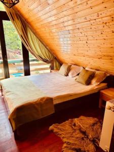 River House Transylvania