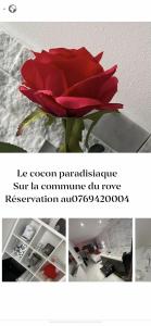 B&B / Chambres d'hotes Love room avec spa privatif : photos des chambres