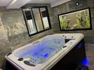 Nuit de la sagesse "jacuzzi terrasse et parking privé"