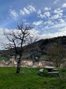 Maisons de vacances Le Trefle d'Or : photos des chambres