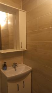 Однокімнатна квартира на вулиці Володимира Великого 22