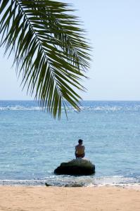 Flamenco Beach & Resort Quseir