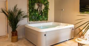 Appartements L’Amazonie Gite Spa : photos des chambres