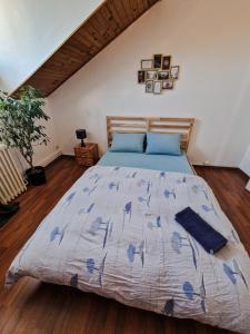 Maisons d'hotes Nice room 4 minutes from Basel shared apartment : photos des chambres