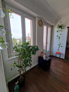 Maisons d'hotes Nice room 4 minutes from Basel shared apartment : photos des chambres