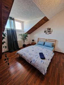 Maisons d'hotes Nice room 4 minutes from Basel shared apartment : photos des chambres