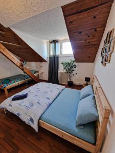 Maisons d'hotes Nice room 4 minutes from Basel shared apartment : photos des chambres