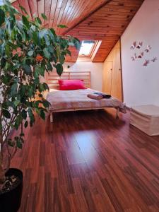 Maisons d'hotes Comfortable room 4 minutes walk to Basel shared apartment : photos des chambres