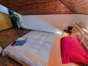 Maisons d'hotes Comfortable room 4 minutes walk to Basel shared apartment : photos des chambres