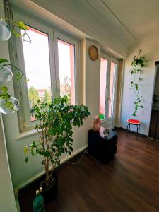 Maisons d'hotes Comfortable room 4 minutes walk to Basel shared apartment : photos des chambres