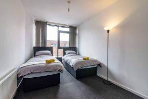 Bright and Spacious Apartments