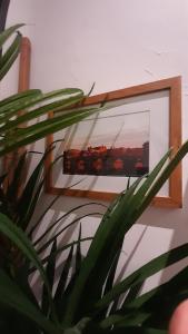 Appartements Canal du Midi : photos des chambres