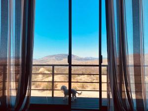 Cabaña Valzam 2 entre viñedos Rancho Tecate Resort