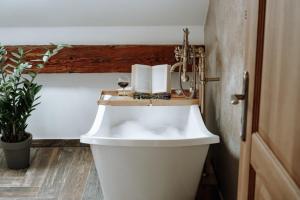 Apartments of Hana Hegerová