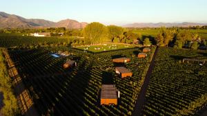 Vibo Wine Lodge At Viu Manent