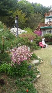 Olive Vanilla Pension