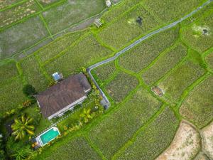Buddha Homestay