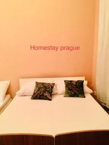 Hotel flat in Centre Prague 2 - Prag