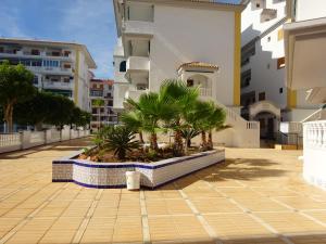 Apartment Viñamar 6 La Mata