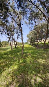 Gozo Holiday Home -Tranquil and Serene