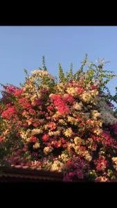 Villa hira - Eski Datca