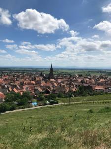 Appartements Gite Les Cles des Vignes : photos des chambres