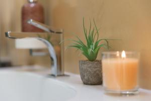 Villa Elena - Two Luxury Suites, garden & fast Wi-Fi near the Sea