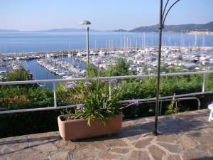 Appartements Appartement Le Lavandou, 3 pieces, 4 personnes - FR-1-308-25 : photos des chambres