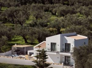 Estelle Villa, a Flamboyant Escape with Pool, By ThinkVilla