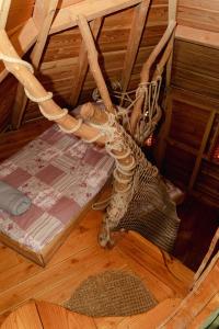 Campings Cabane Perchee dans les Arbres : photos des chambres