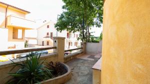 Appartamento l'Ulivo img32