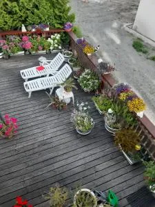 Ferienwohung Nadja - 乎尔博赫