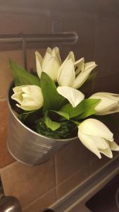 Home, far away from Home 2